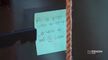 The Block AU S19e21 WEBDL x264-W4N70Ks mp4 - VOE - Content Delivery Network (CDN) & Video Cloud avi
